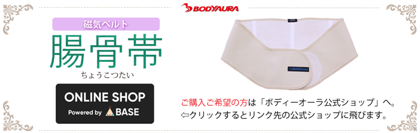 磁気ベルト 腸骨帯の ご注文はこちらから